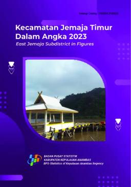 Jemaja Timur Subdistrict In Figures 2023